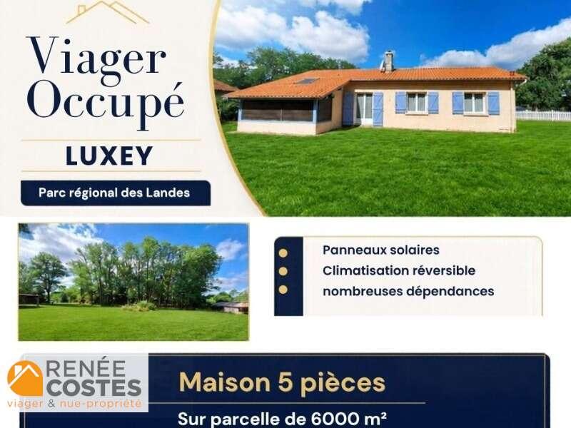annonce bien